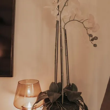 Tt Confort Coeur Avec Terrasse Et Parking Gratuit Apartment